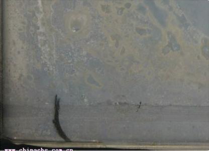GLASS-DEFECTS-AFTER-INSTALLATION-GLASS-MILDEW