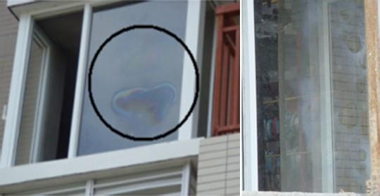 GLASS-MILDEW,GLASS-MOULD