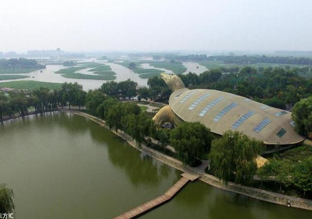 china ugly building-tortoise -2-morn bm