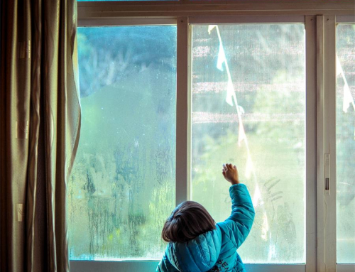 Insulated glass condensation reasons